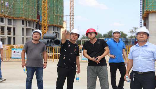 乐玩官方网页版-乐玩（中国）
董事会巡检圆满完成
